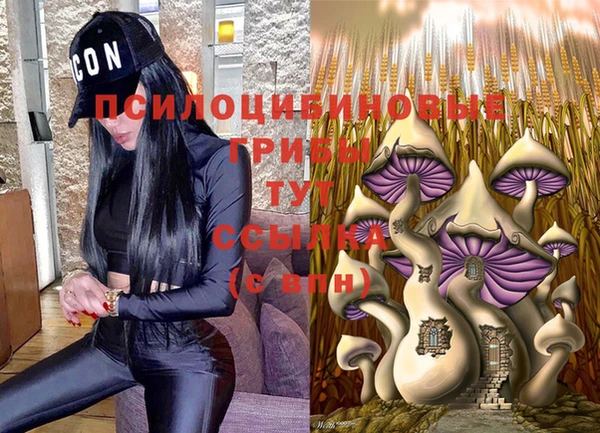 ГАЛЛЮЦИНОГЕННЫЕ ГРИБЫ Алзамай